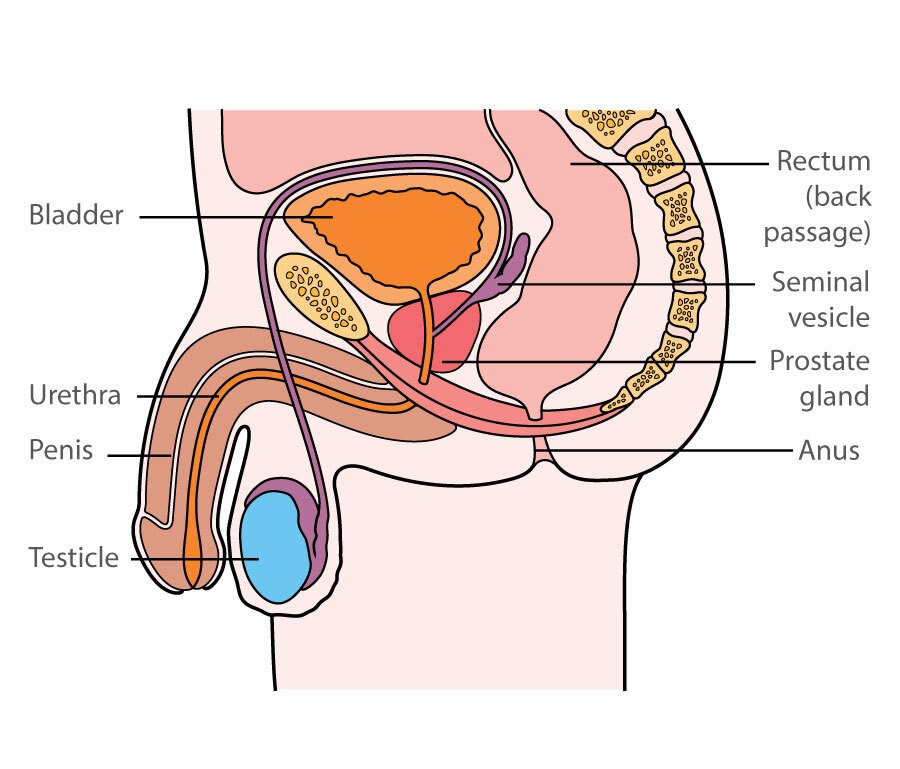 Prostate Cancer symptoms Awareness